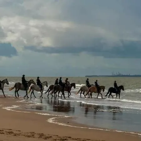 Mobil Confort - 40m2 - 3ch - 2 Sdb - 4 Etoiles - Bonne Anse 56